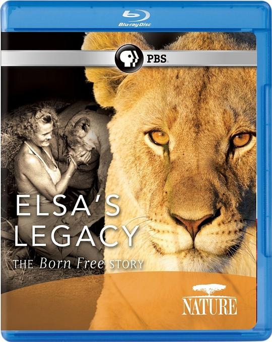 艾尔莎的遗产：生而自由的故事 Elsa's Legacy: The Born Free Story