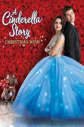 灰姑娘的故事：圣诞愿望 A Cinderella Story: Christmas Wish