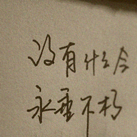 会飞的猪